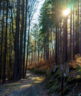 Wanderwege rund um Gräfenthal